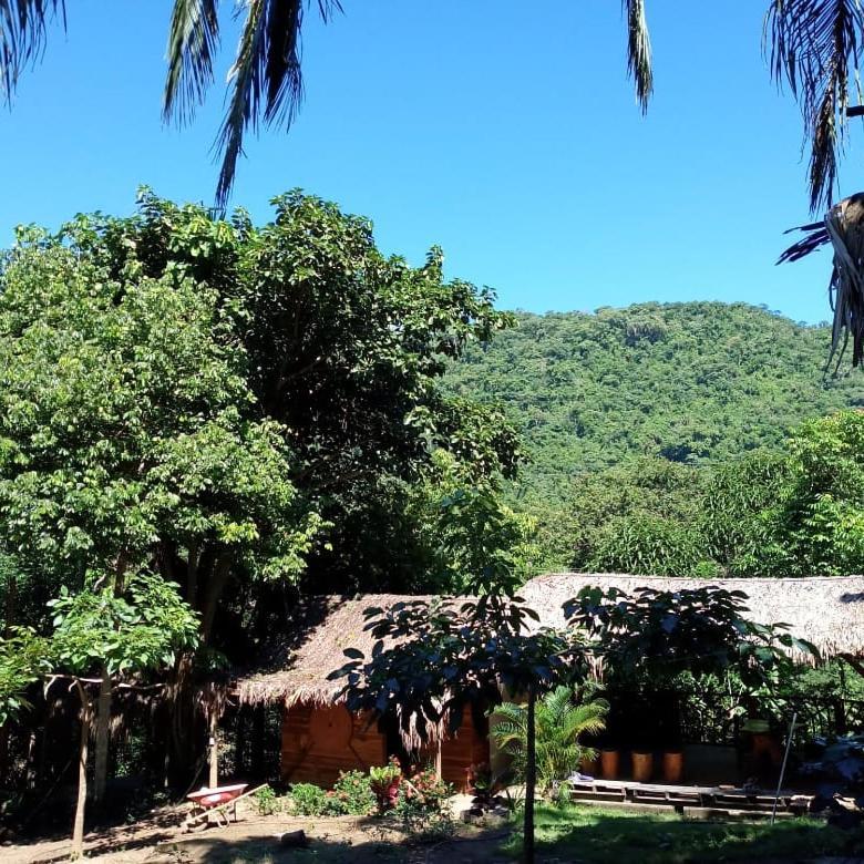 Eco Hostal Monolandia El Zaino Exterior photo