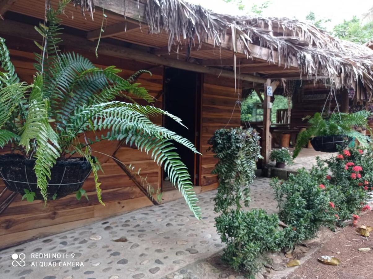 Eco Hostal Monolandia El Zaino Exterior photo