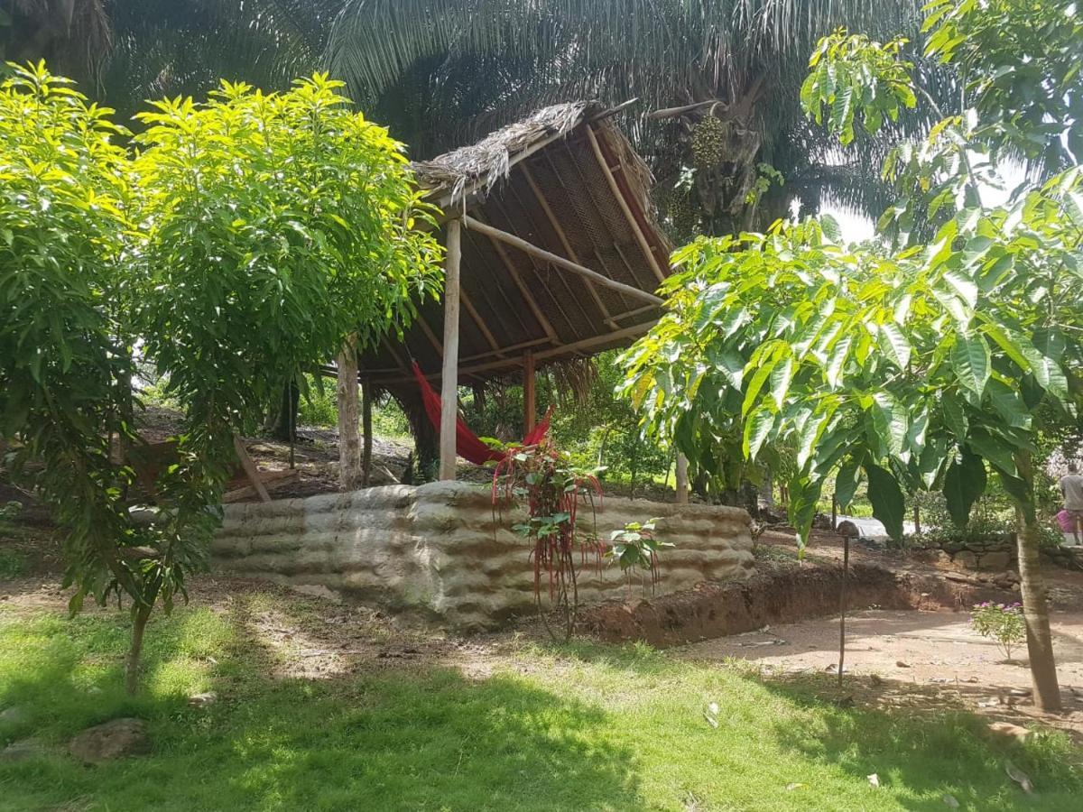 Eco Hostal Monolandia El Zaino Exterior photo