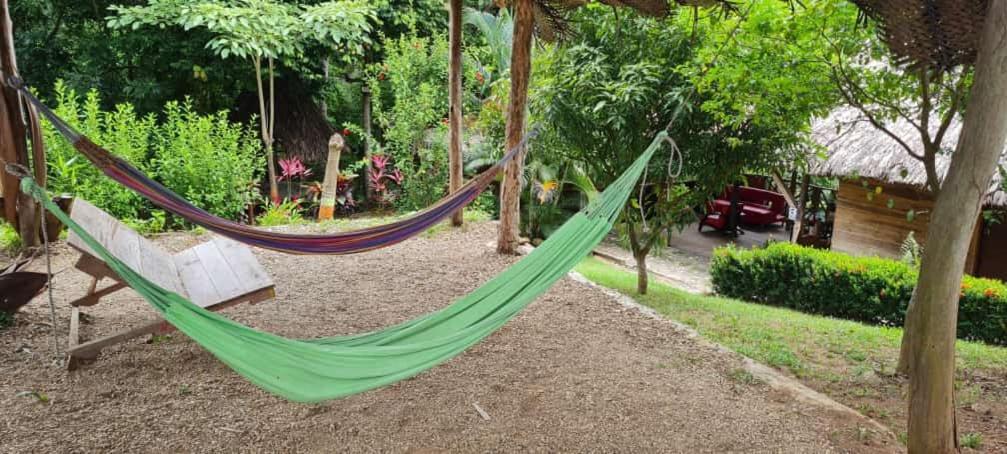 Eco Hostal Monolandia El Zaino Exterior photo