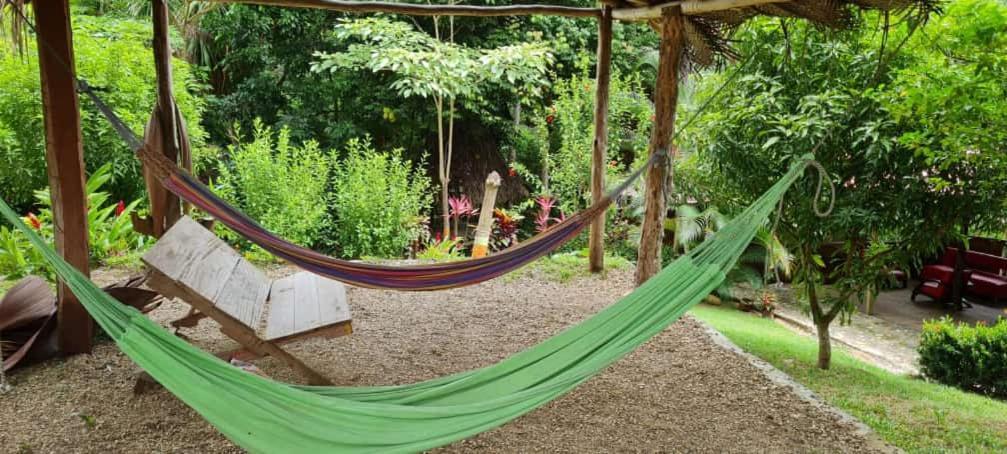 Eco Hostal Monolandia El Zaino Exterior photo