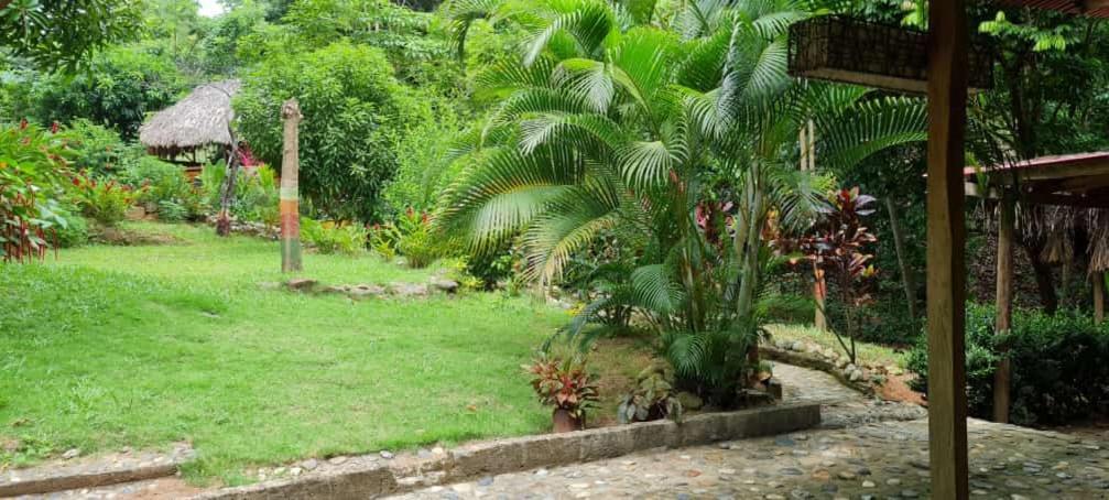 Eco Hostal Monolandia El Zaino Exterior photo